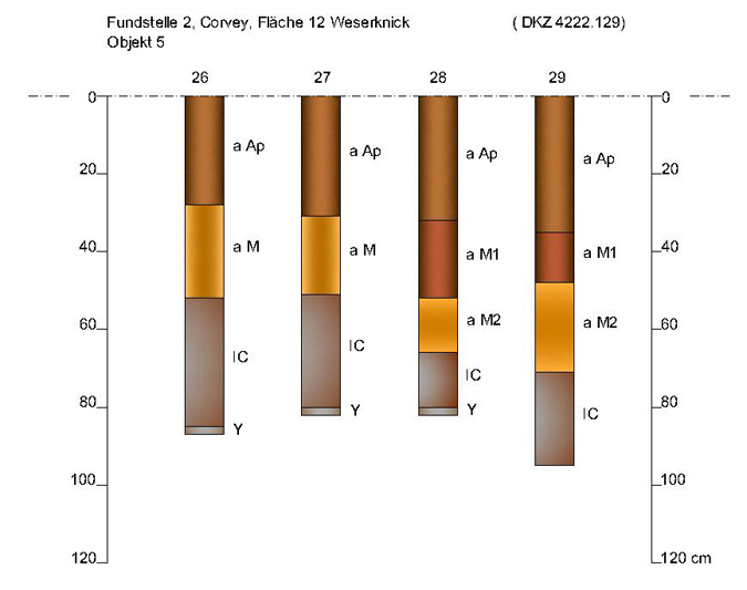 „Bohrkatene“ of a pedological examination in Corvey, area 12 – Weserknick, object 5