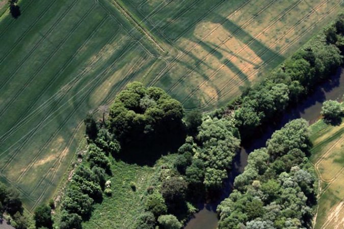 Crop marks of the levelled fortification