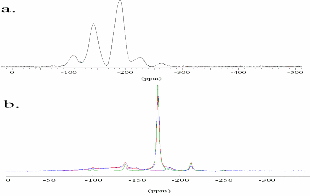 19 F MAS NMR spectra