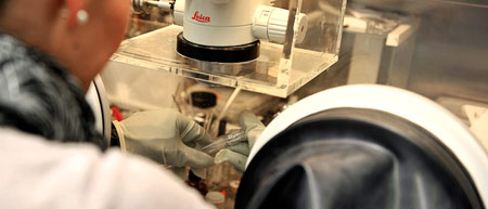 RUB Spitzenforschung