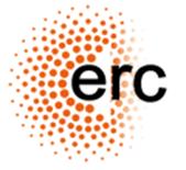 Logo: European Research Council