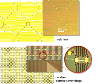 Wagler2010-multilayer