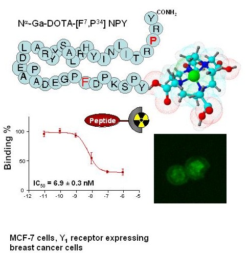 Radiolabelling of a peptide with Gallium