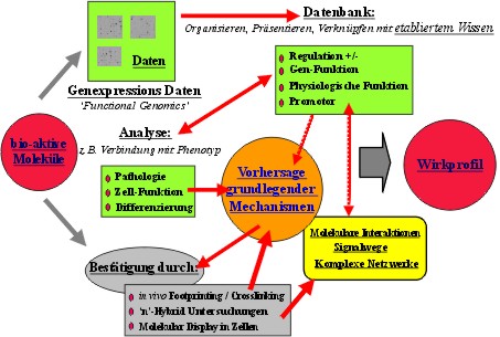 Genotox/Cytotox assays