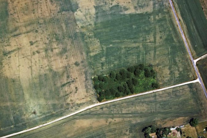 Traces of the eastern breastwork of the camp Traces of the eastern breastwork of the camp