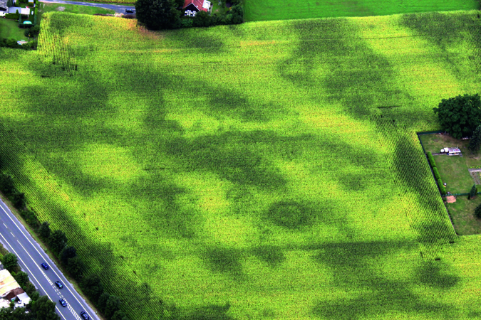 Circular enclosure in a maize field