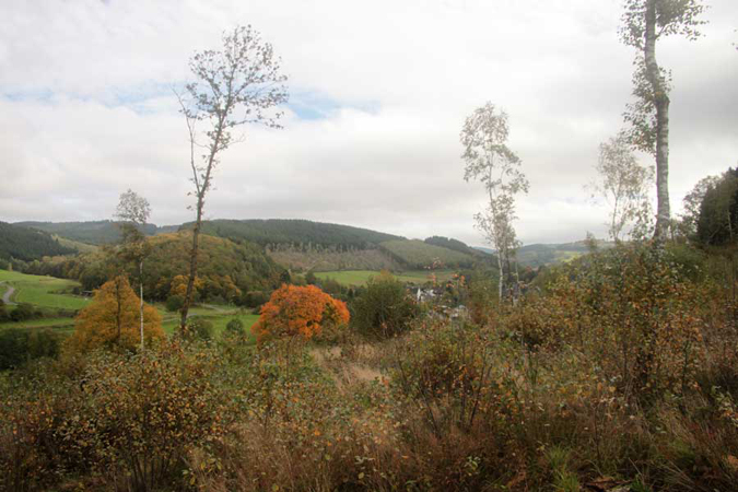 Area of the excavation