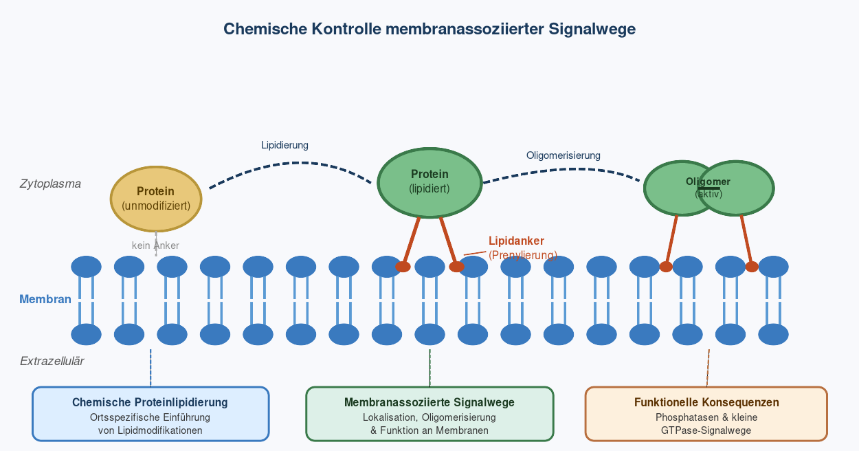 Proteinmodifikationsprojekt