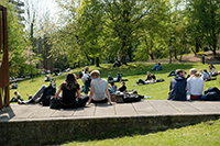 Studierende beim Chillen auf der Wiese