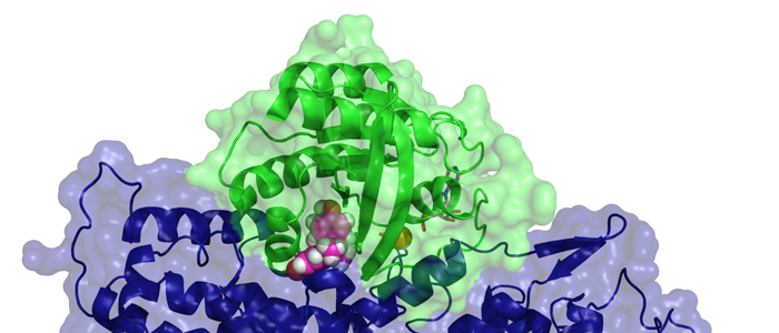 Biomolecular NMR