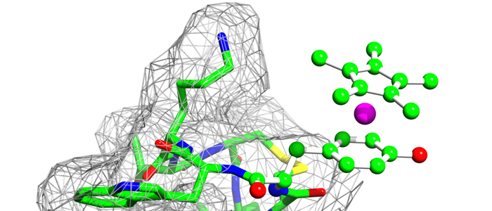 German-American research team produces metal-peptide complexes
