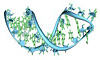 RNA-seq-Icon