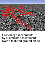 Eye movement