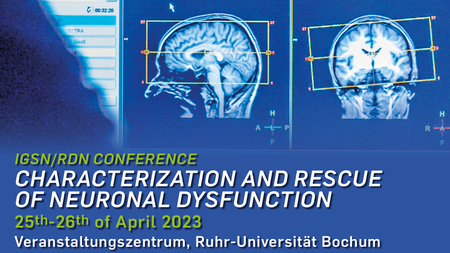 IGSN / RDN Conference: Characterization and Rescue of Neuronal Dysfunction