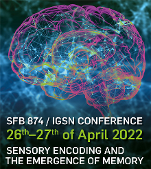 Sensory Encoding and the Emergence of Memory