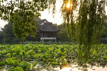 The beautiful gardens around West Lake in Hangzhou
