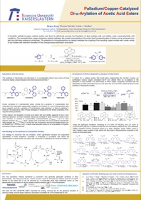 poster_gdch_diarylation_05-07_09_2011-6.pdf.jpeg