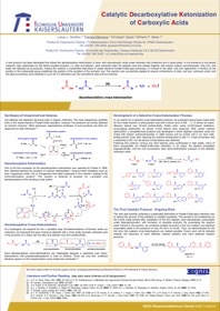 wissenschaftsforum_gdch_2009-mamone-.pdf.jpeg