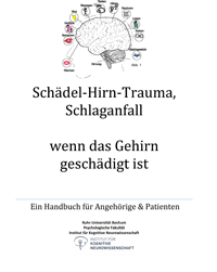 Online Ratgeber Schädelhirntrauma
