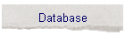 Database