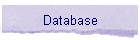 Database