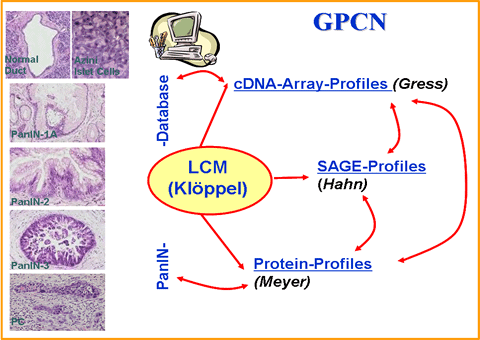 gpcn