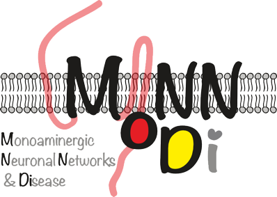 Logo Graduiertenkolleg Monndi (Monoaminergic Neuronal Networks and Disease)
