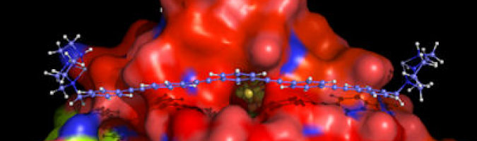 Hydrogenase and rigid nanosized chelator