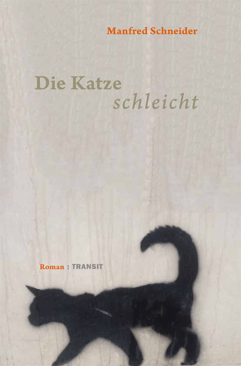 Bild Die Katze schleicht