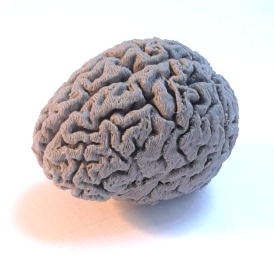 Brain3d