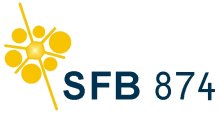 SFB 874
