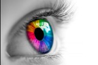 Philosophie Und Kognition C Fotolia Philip Steury 226109154 L