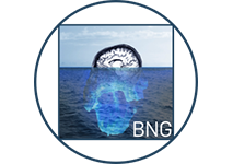 Bochumer Neuropsychoanalyse Gruppe