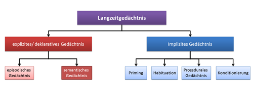 Schema Langzeitgedächtnis