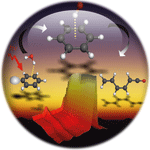 Solvation