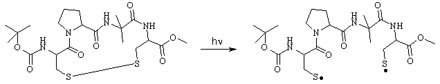 Aminoacids and Peptides