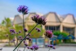 Blumen vor dem Audimax