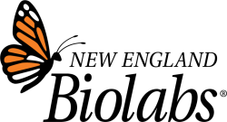 Neblogo Rgb