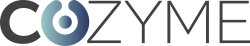 Logo Cozyme Rgb