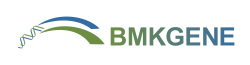 Bmkgene Logo 00