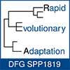 SPP1819-Logo