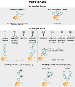Figure2