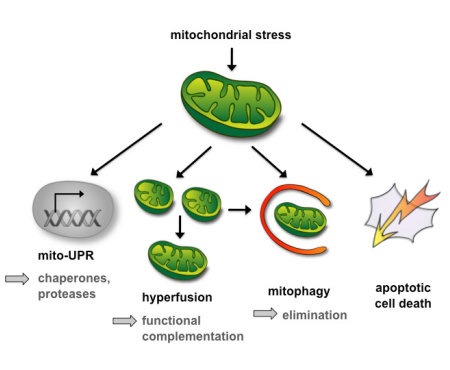 Figure4