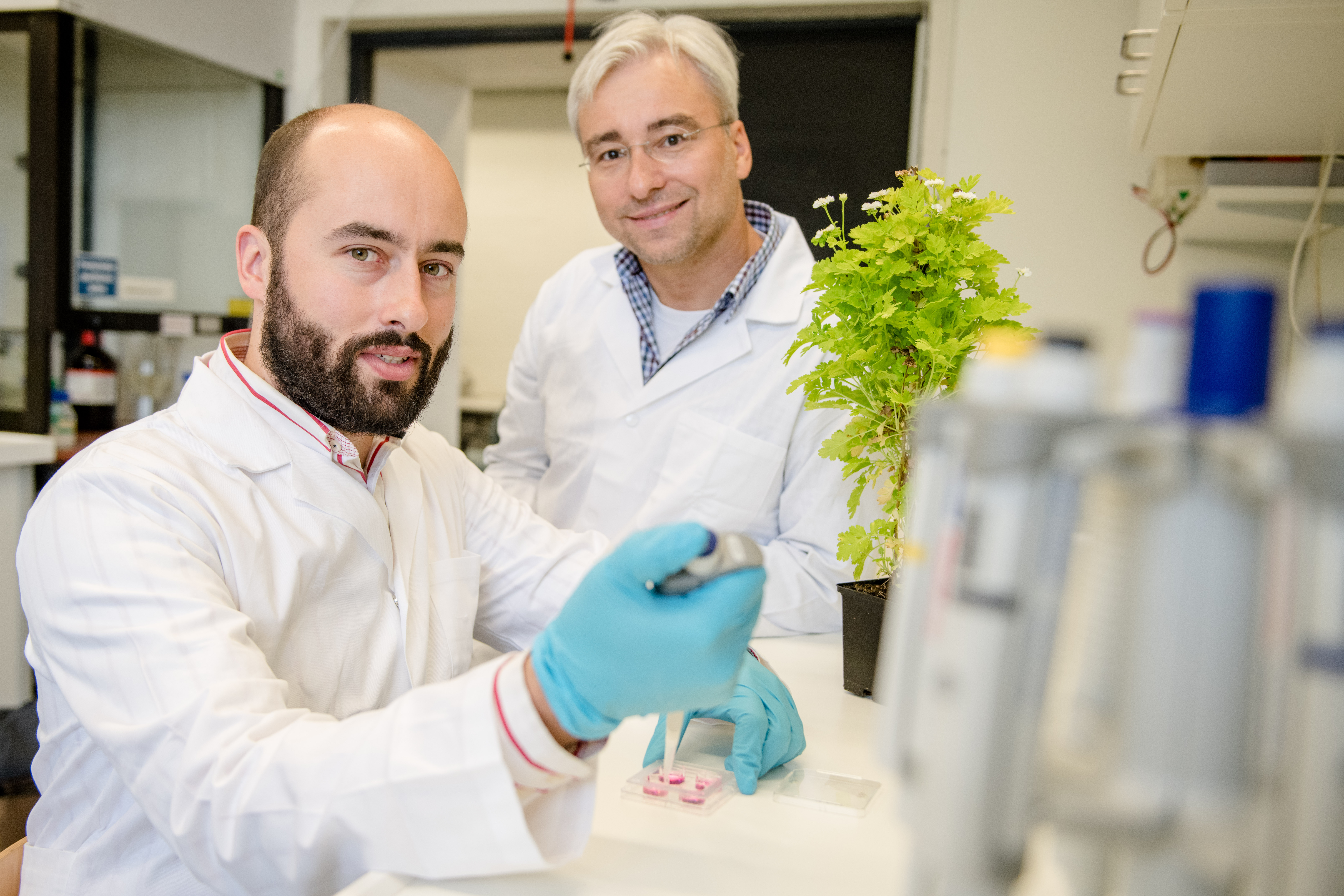 Biologie: Zwei Forscher im Labor mit Pflanzen