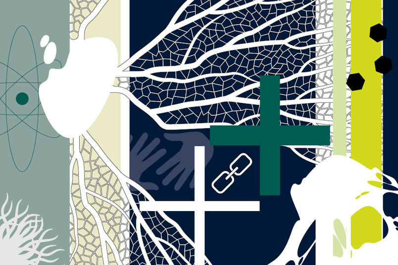 Cover des Wissenschaftsmagazins Rubin, Ausgabe 1/2023