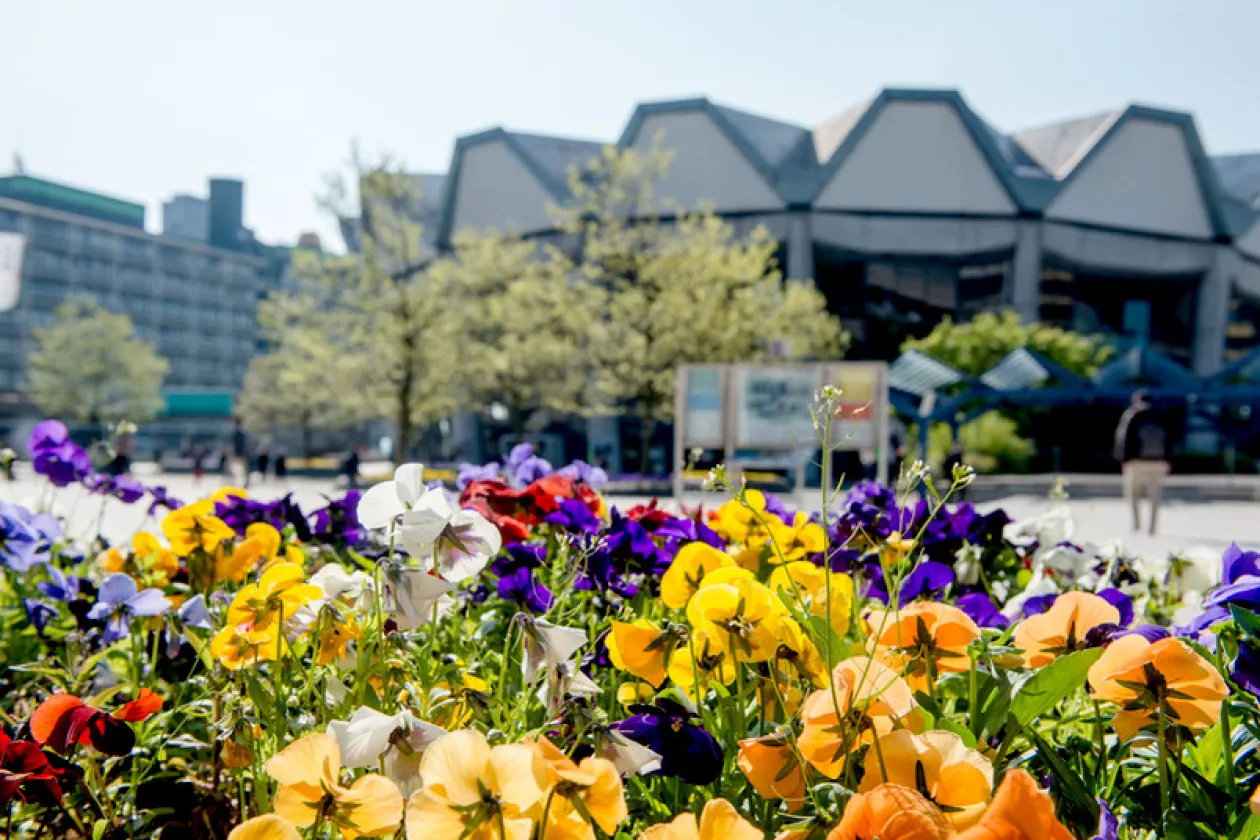 Blumen vor dem Audimax