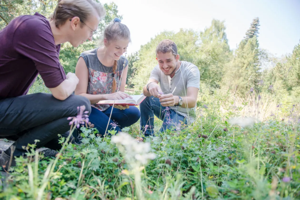 Drei Studierende hocken im Gras und schauen sich Pflanzen an. Sie haben ein Notizbuch dabei.