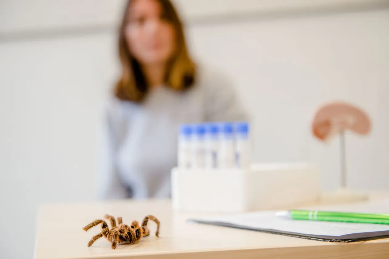 Eine Spinne auf einem Tisch im Labor