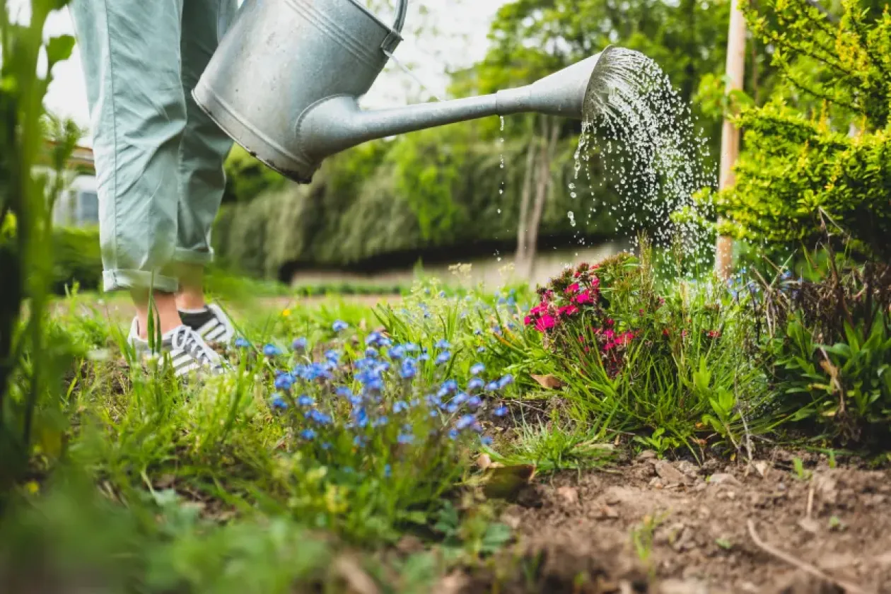 Umfrage für alle mit Garten