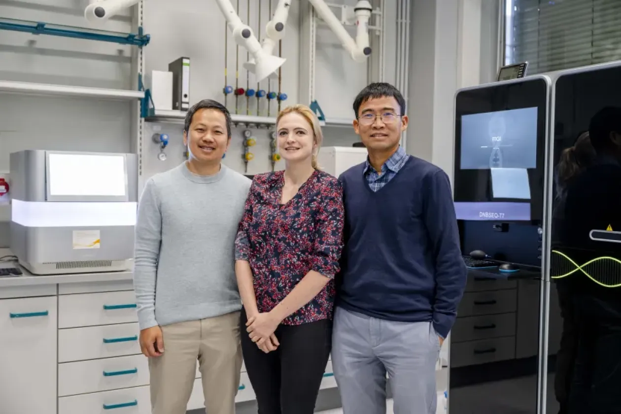 Neue genetische Ursache für Mikrozephalie entdeckt